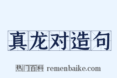 真龙对造句是什么意思的图片